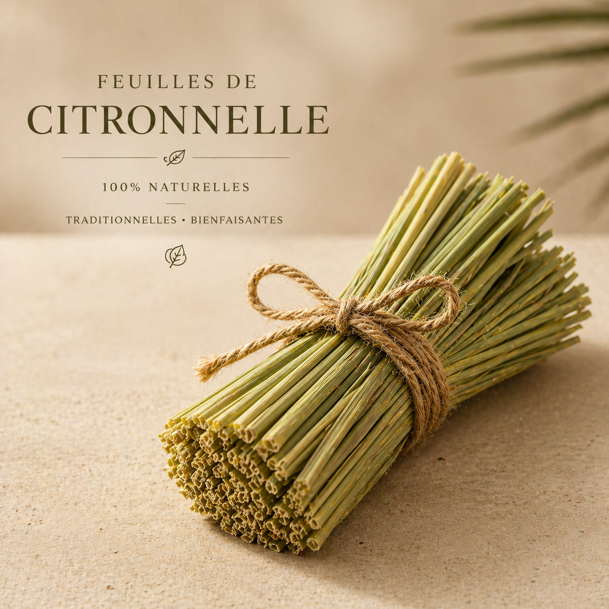 Citronnelle