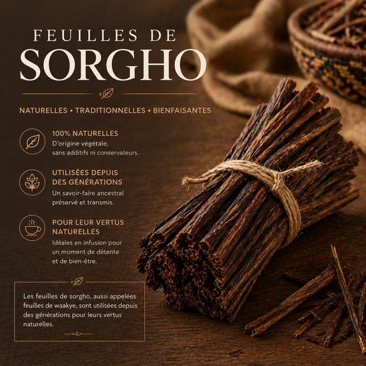 Sorgho