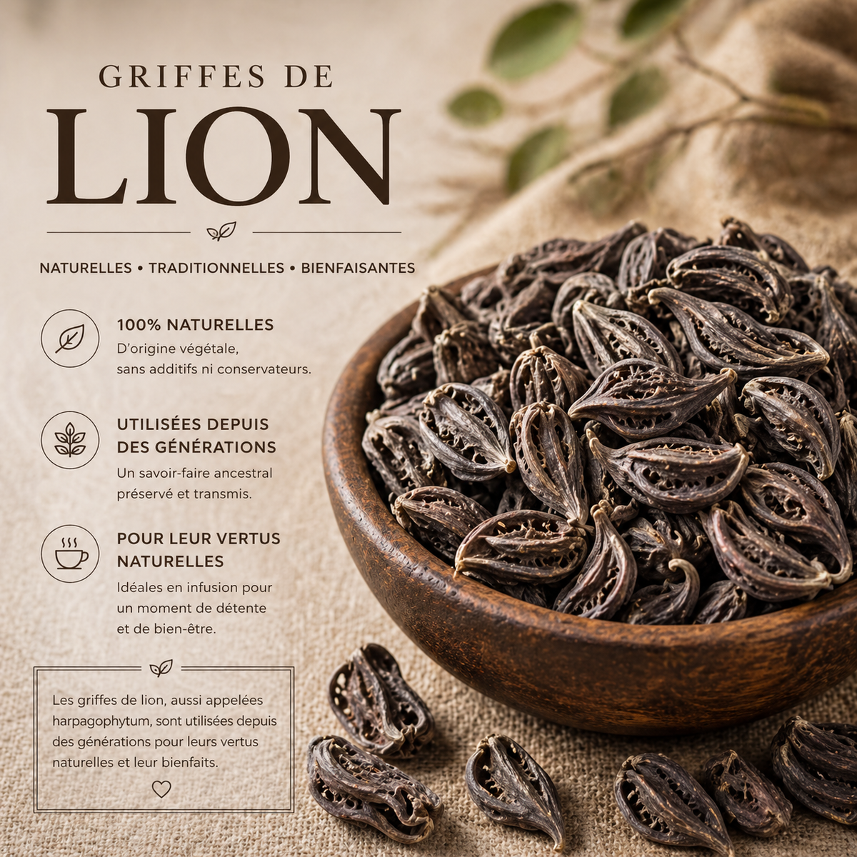 Griffes de lion