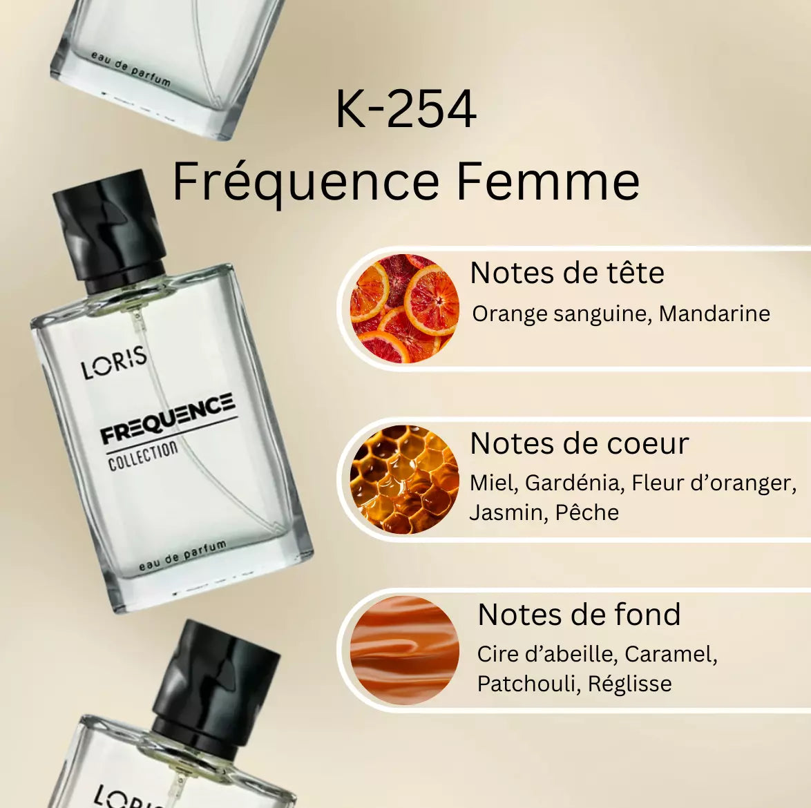 Loris - K 254 Scandale Jean Paul Gaultier