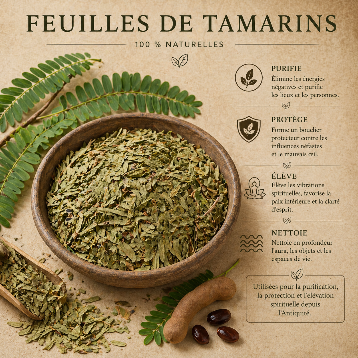 Feuille de Tamarin