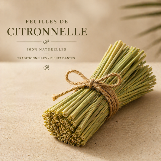 Citronnelle