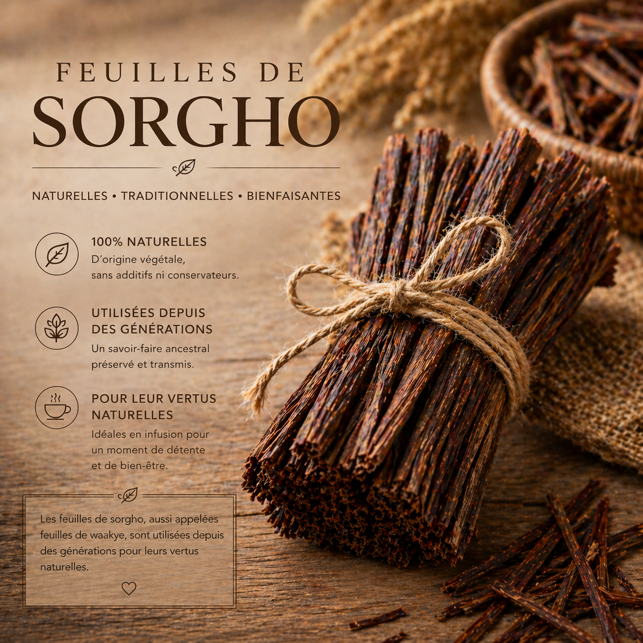 Sorgho