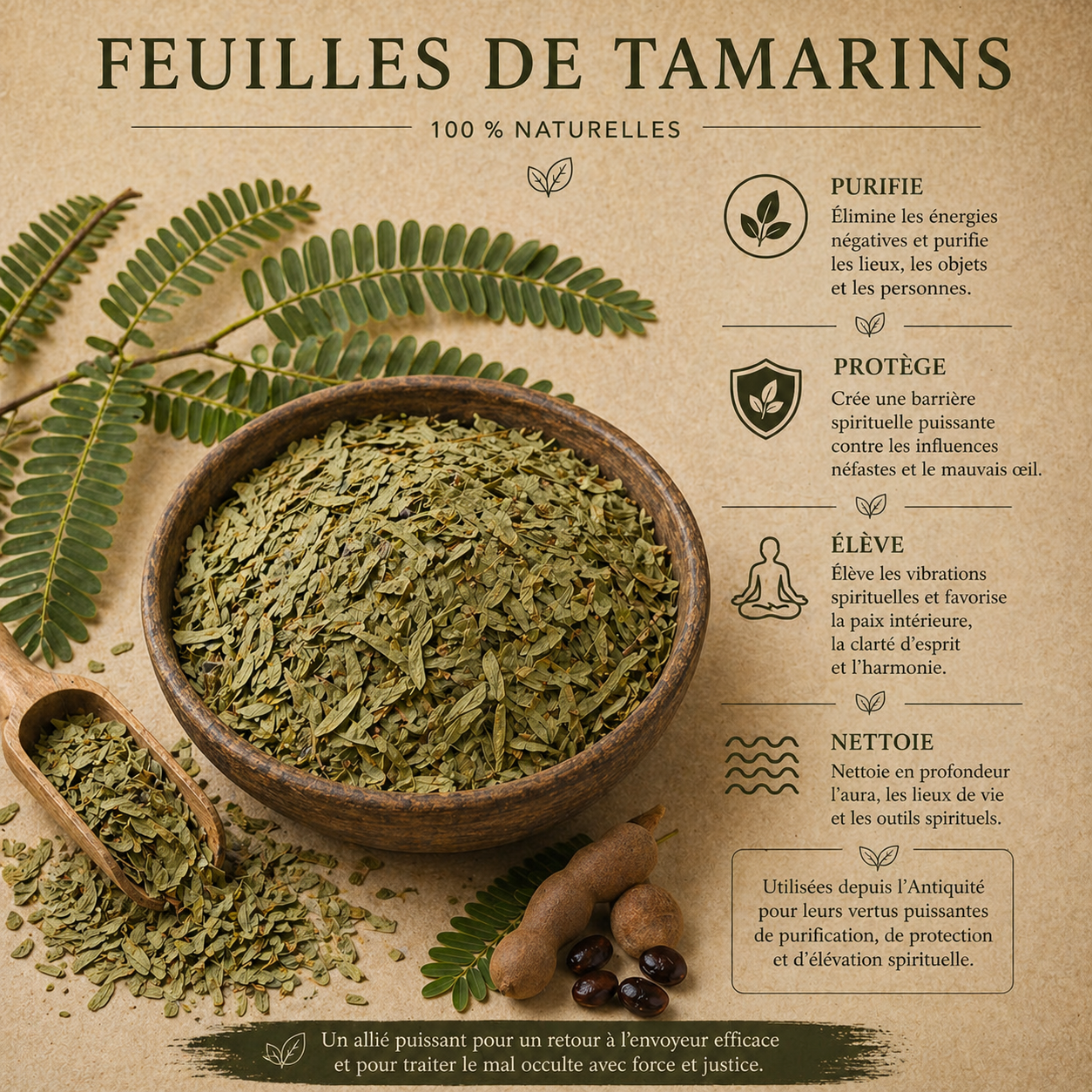 Feuille de Tamarin