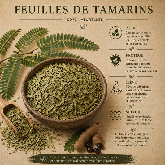 Feuille de Tamarin